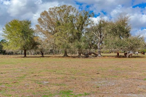 Land in Fish Hawk, Florida № 2105831