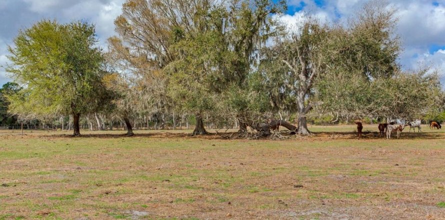 Land in Fish Hawk, Florida № 2105831