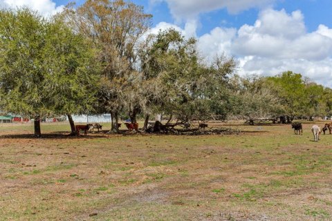 Land in Fish Hawk, Florida № 2105831 - photo 13