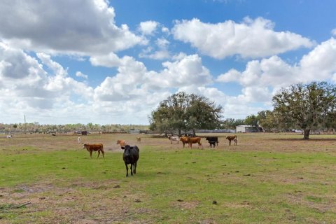Land in Fish Hawk, Florida № 2105831 - photo 5
