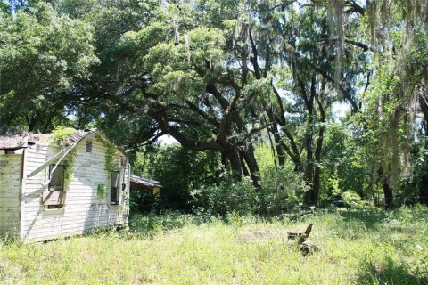 Land in Micanopy, Florida № 1131650 - photo 6