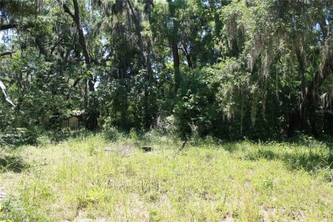 Land in Micanopy, Florida № 1131650 - photo 11