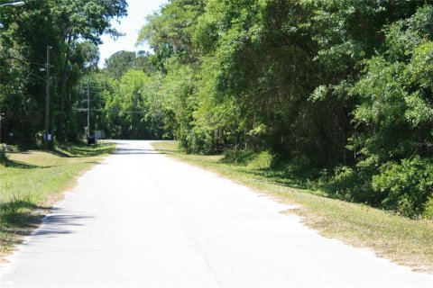Land in Micanopy, Florida № 1131650 - photo 7