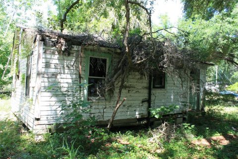 Land in Micanopy, Florida № 1131650 - photo 12