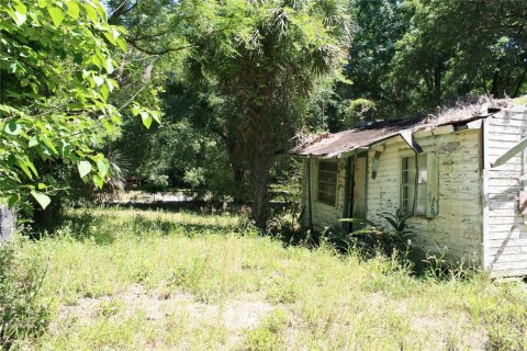 Land in Micanopy, Florida № 1131650 - photo 4