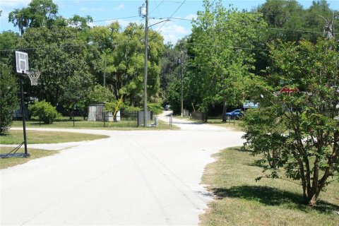 Land in Micanopy, Florida № 1131650 - photo 5