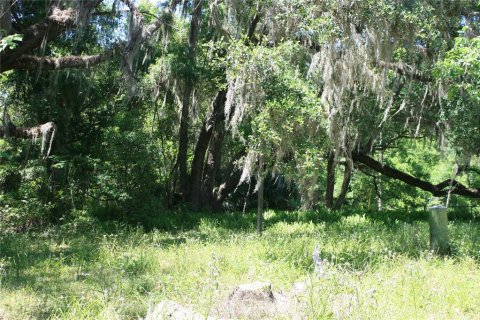 Land in Micanopy, Florida № 1131650 - photo 13