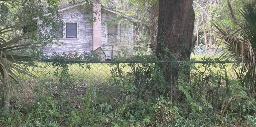 Land in Micanopy, Florida № 1131650