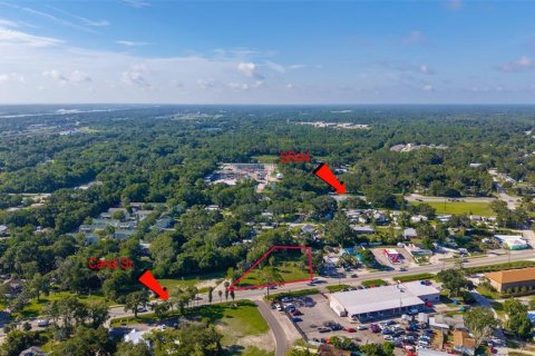 Land in New Smyrna Beach, Florida № 1824718 - photo 10