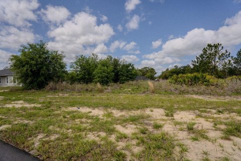 Land in Ocala, Florida № 2162455 - photo 5