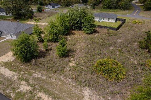 Land in Ocala, Florida № 2162455 - photo 4