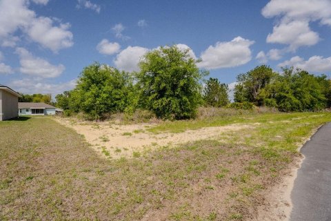 Land in Ocala, Florida № 2162455 - photo 6