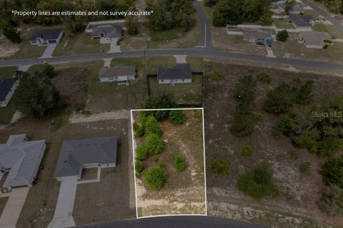 Land in Ocala, Florida № 2162455 - photo 3