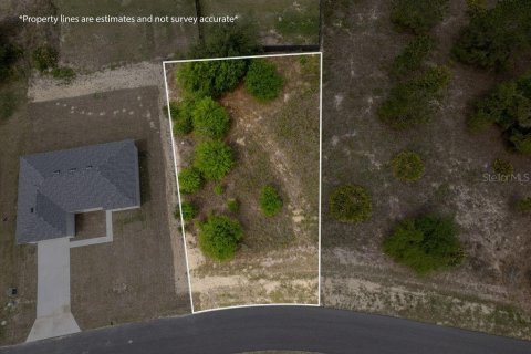 Land in Ocala, Florida № 2162455 - photo 2