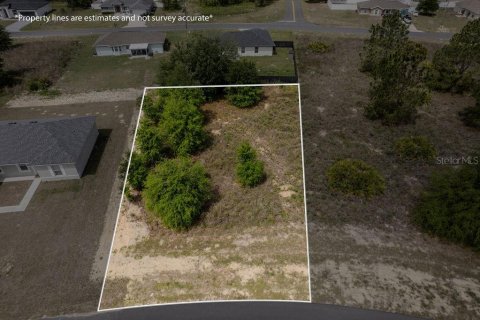 Land in Ocala, Florida № 2162455