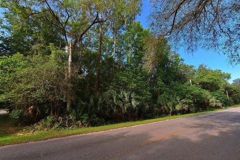 Land in Micanopy, Florida № 216389 - photo 2