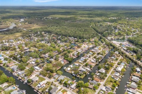 Terreno en venta en Weeki Wachee, Florida № 1620578 - foto 13