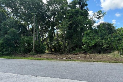 Land in Orlando, Florida № 1835408 - photo 16