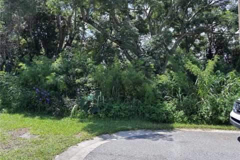 Land in Orlando, Florida № 1835408 - photo 13