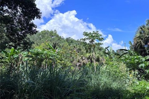 Land in Orlando, Florida № 1835408 - photo 5