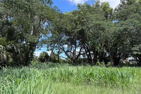 Land in Orlando, Florida № 1835408 - photo 14