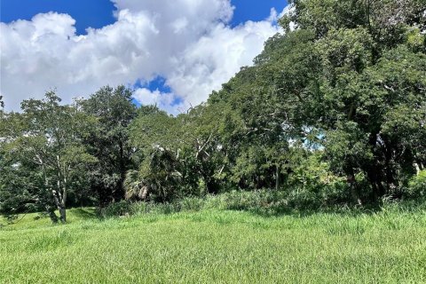 Land in Orlando, Florida № 1835408 - photo 24
