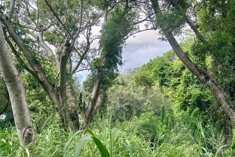 Land in Orlando, Florida № 1835408 - photo 23