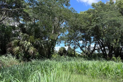 Land in Orlando, Florida № 1835408 - photo 6
