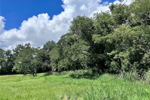 Land in Orlando, Florida № 1835408 - photo 21