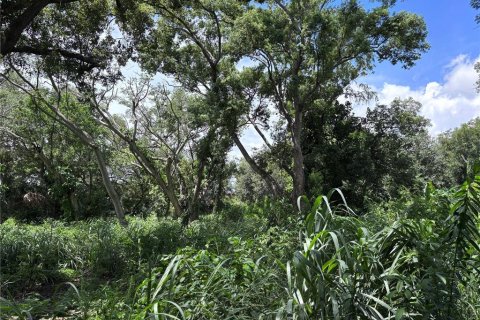 Land in Orlando, Florida № 1835408 - photo 9