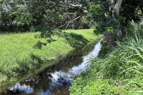 Land in Orlando, Florida № 1835408 - photo 10