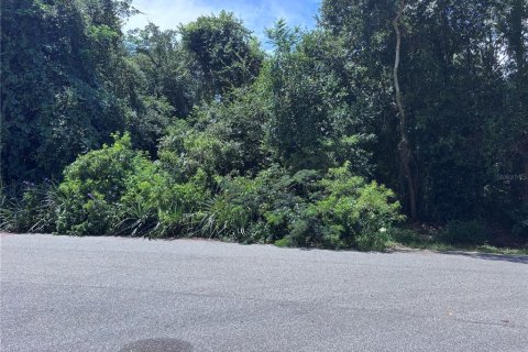 Land in Orlando, Florida № 1835408 - photo 15