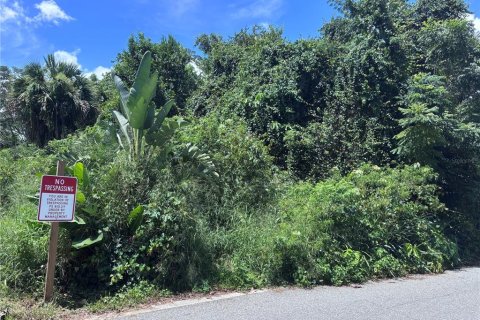 Land in Orlando, Florida № 1835408 - photo 2
