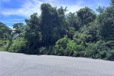 Land in Orlando, Florida № 1835408 - photo 1