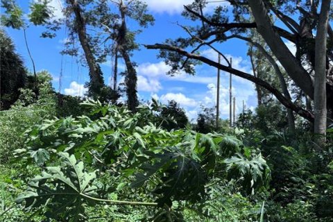 Land in Orlando, Florida № 1835408 - photo 18