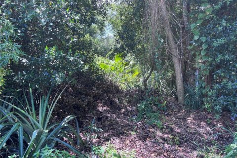 Land in Orlando, Florida № 1835408 - photo 4