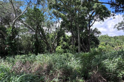 Land in Orlando, Florida № 1835408 - photo 7