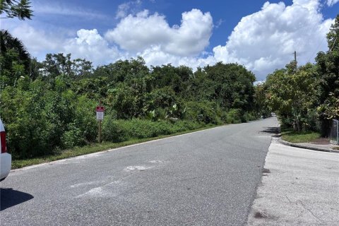 Land in Orlando, Florida № 1835408 - photo 11