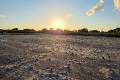Land in Okeechobee, Florida № 2158278 - photo 6