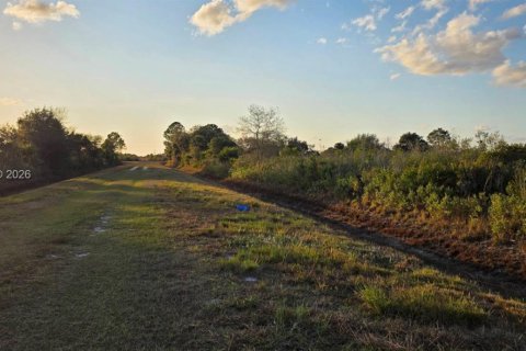 Land in Okeechobee, Florida № 2158278 - photo 16