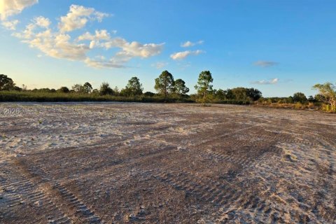 Land in Okeechobee, Florida № 2158278 - photo 9