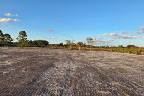 Land in Okeechobee, Florida № 2158278 - photo 11