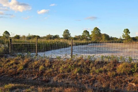 Land in Okeechobee, Florida № 2158278 - photo 5