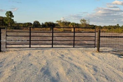 Land in Okeechobee, Florida № 2158278 - photo 3