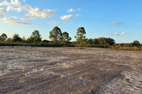 Land in Okeechobee, Florida № 2158278 - photo 12