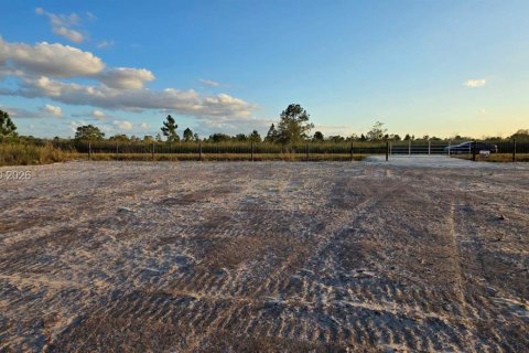 Land in Okeechobee, Florida № 2158278 - photo 17