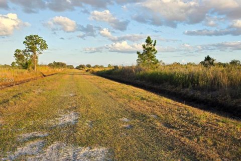 Land in Okeechobee, Florida № 2158278 - photo 7