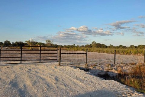 Land in Okeechobee, Florida № 2158278 - photo 2