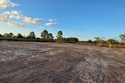 Land in Okeechobee, Florida № 2158278 - photo 15