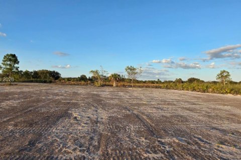 Land in Okeechobee, Florida № 2158278 - photo 14
